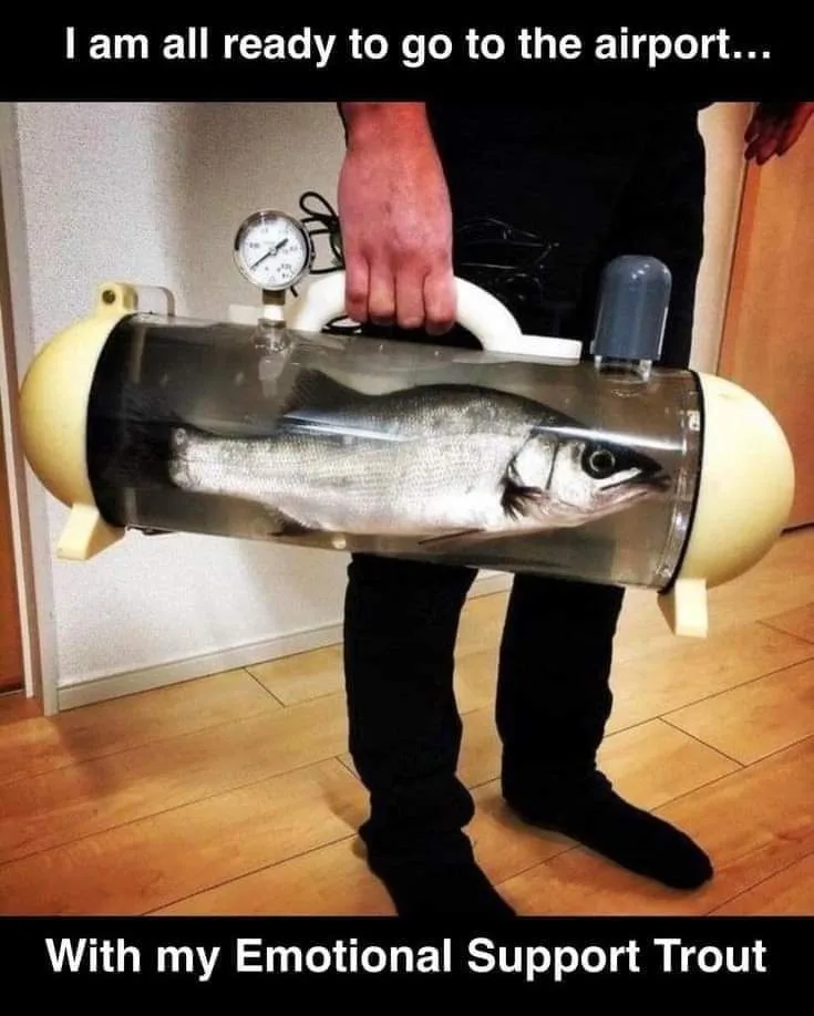 A person is holding a transparent, cylindrical, portable fish tank with a pressure gauge, containing a live trout. The tank…