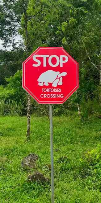 A red octagonal stop sign is modified with a white silhouette of a tortoise and the text 'TORTOISES CROSSING' below it…