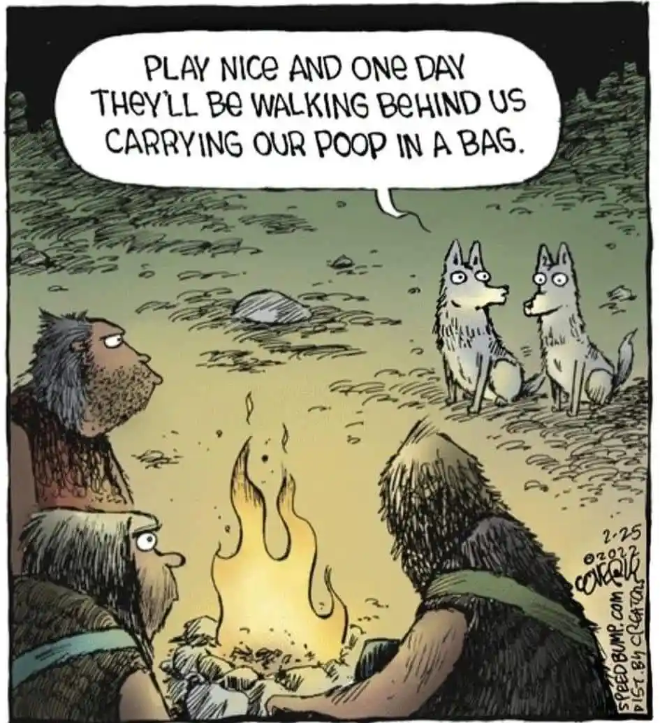 A comic strip shows three cavemen around a campfire, looking up at two wolves. One wolf speaks via a speech bubble saying…