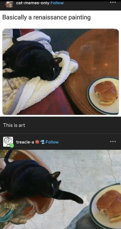 The meme features two images of a black cat lounging near a plate with a sandwich. The top image shows the cat on a towel…