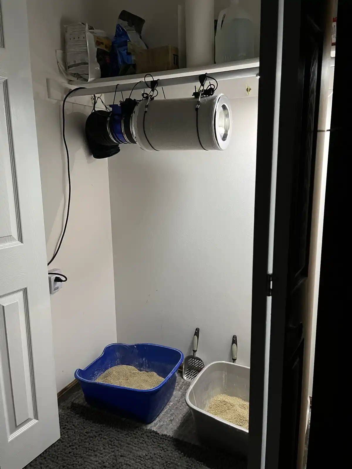 Air filter on a motion-activated power switch: A cat owner's secret.