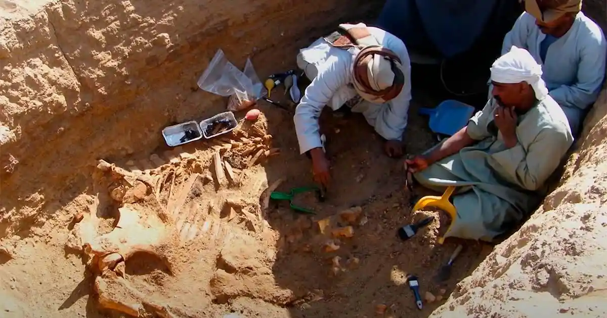 Three archaeologists in desert excavation gear are working around a large, partially unearthed fossil skeleton in a sandy…
