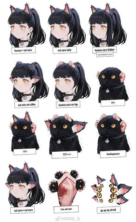 A grid of nine anime-style illustrations shows a character with varying combinations of human and cat ears, including 'human…