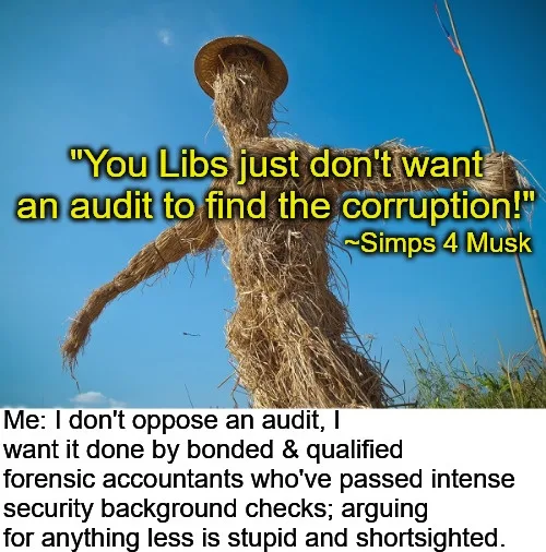 A straw scarecrow wearing a straw hat stands against a clear blue sky. Yellow text at the top reads: "You Libs just don't…
