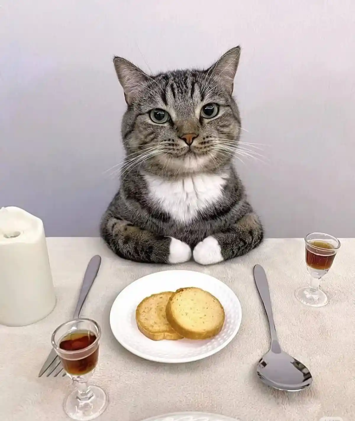 A gray tabby cat with a white chest and paws sits upright at a formally set table, looking directly at the camera with a…