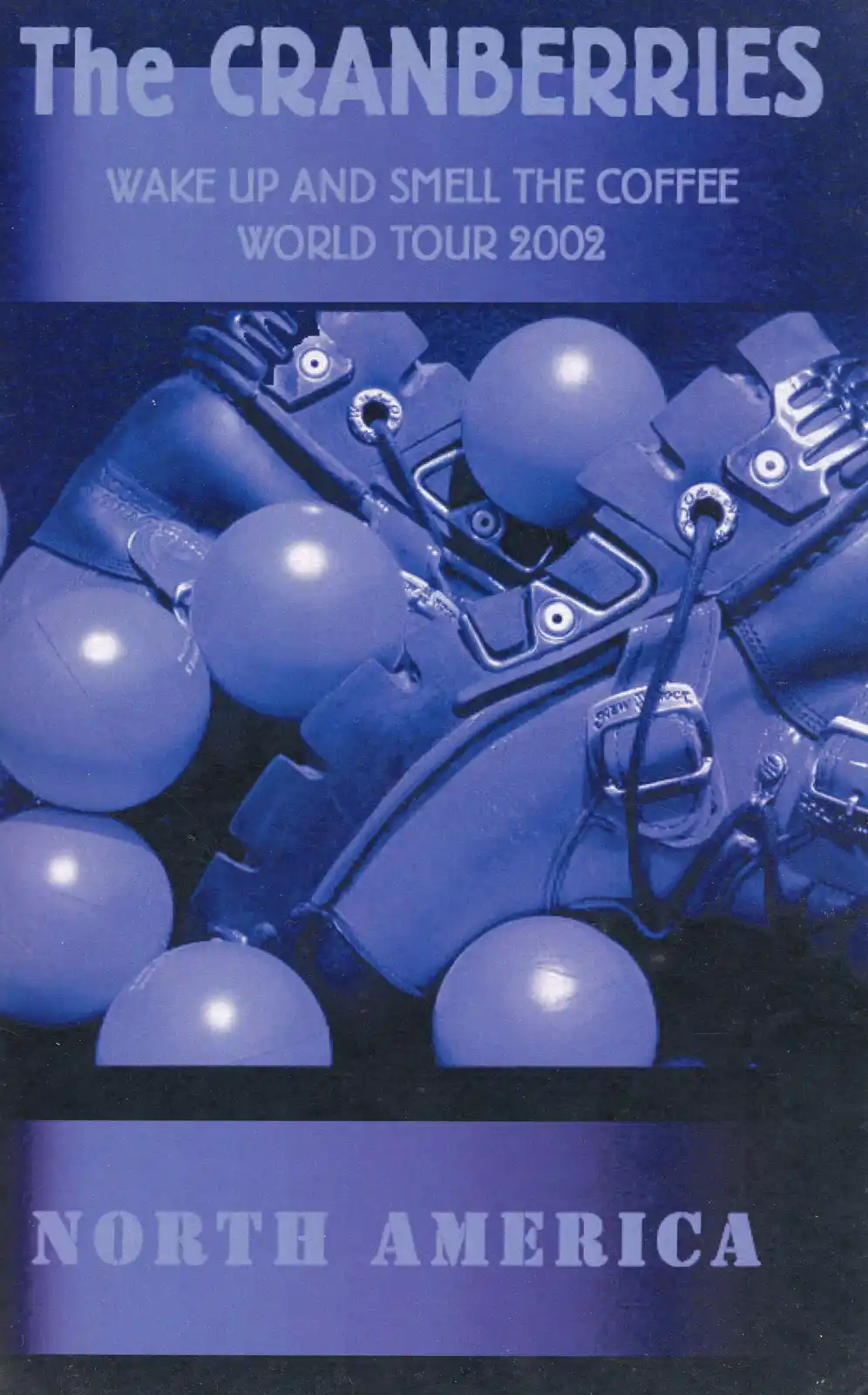 Throwback to the Cranberries tour poster from 2002!