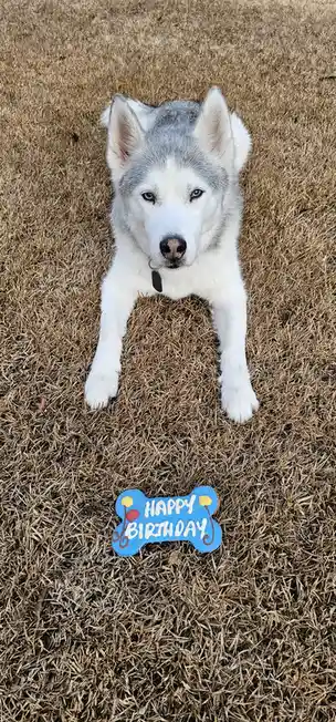 11 years just isn't enough time.