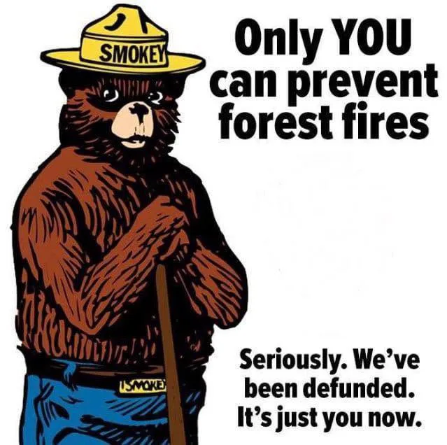 A cartoon illustration of Smokey Bear, wearing his iconic yellow hat with 'SMOKEY' written on it and blue overalls with a…