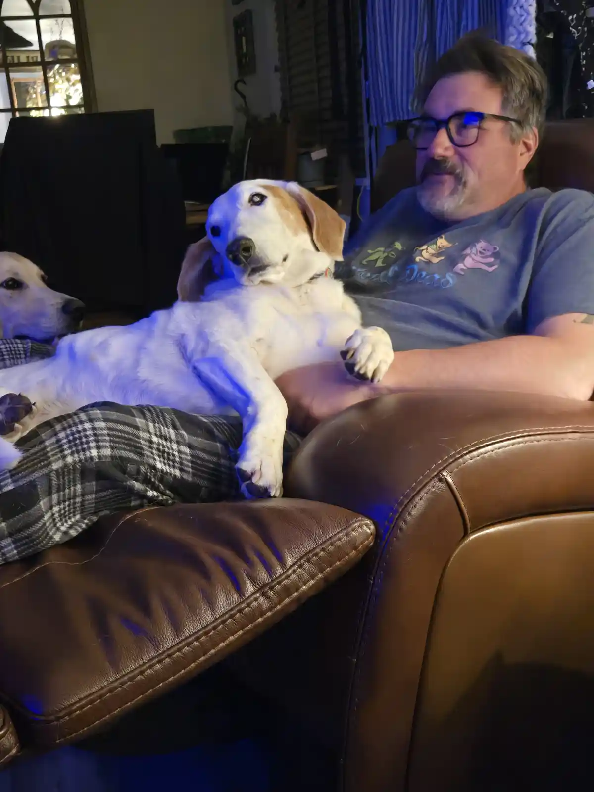 A man with glasses and a mustache sits on a brown leather couch, wearing plaid pants and a t-shirt, with a white and tan dog…