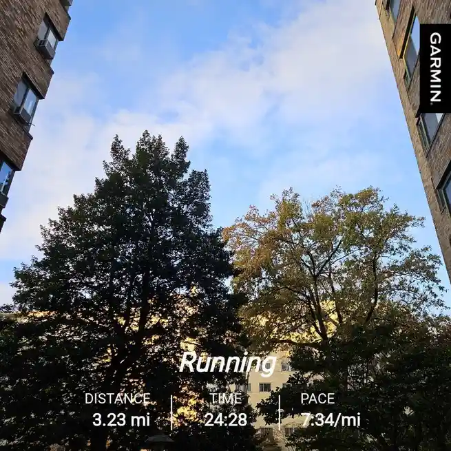 A low-angle photo looking up at trees and brick buildings under a blue sky, overlaid with a Garmin fitness tracker…