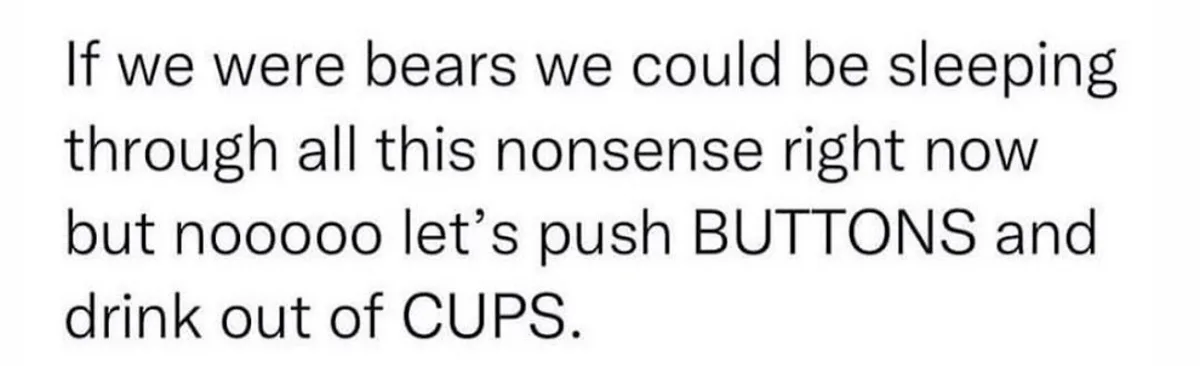 The image is a plain white background with black text that reads: 'If we were bears we could be sleeping through all this…