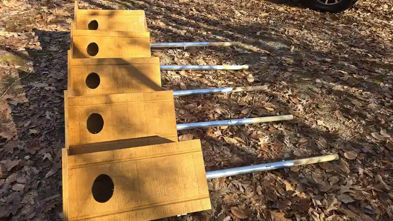 An outdoor photo shows five wooden birdhouse-like boxes with circular holes, arranged in a row on a leaf-covered ground…