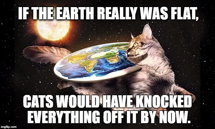 A fluffy gray tabby cat is depicted in space, holding a flat, disc-shaped Earth with continents and oceans visible. The…