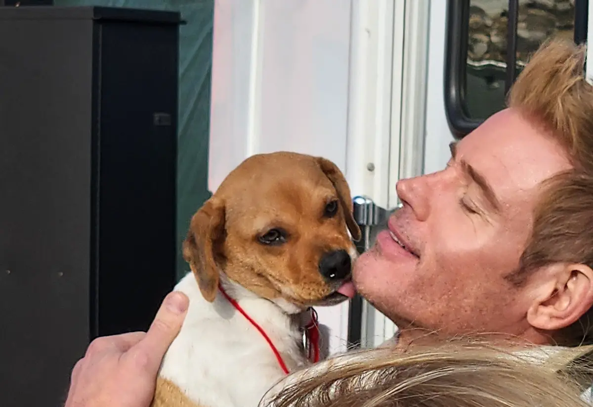 a man with reddish hair is holding a brown and white puppy wearing a red collar; the puppy is licking the man's cheek while…
