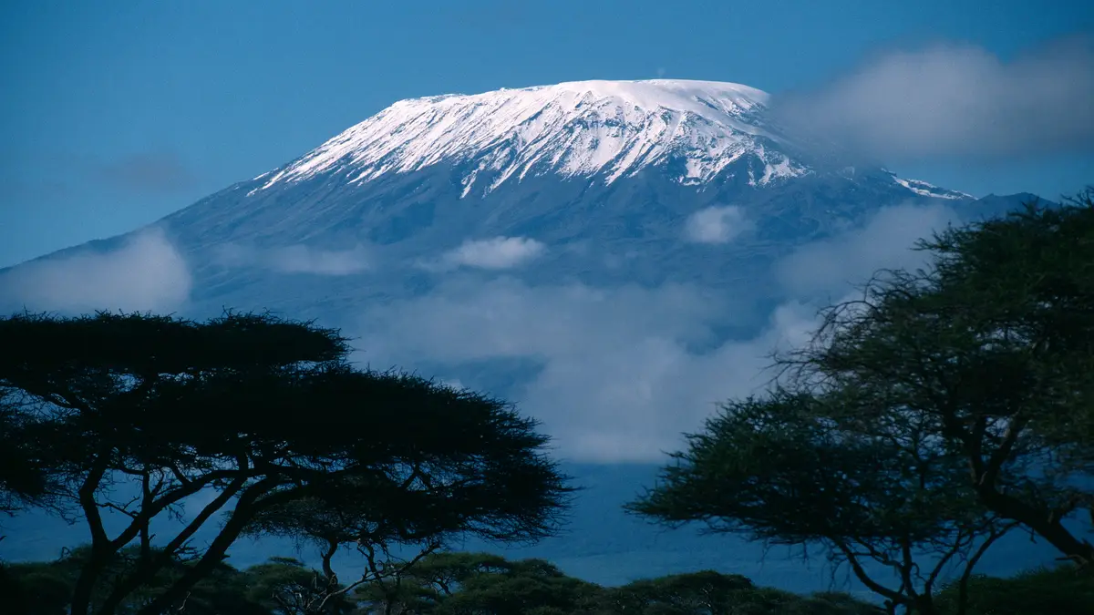 Africa's highest point, Mount Kilimanjaro, stands 19,341 feet tall, with its main summit, Kibo, dominated by acacia trees in…