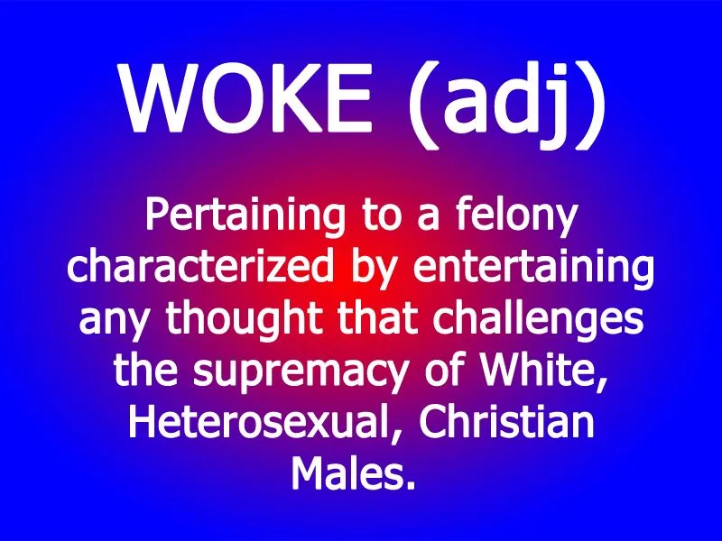 A blue-to-red gradient background displays white text defining 'WOKE (adj)' as 'Pertaining to a felony characterized by…