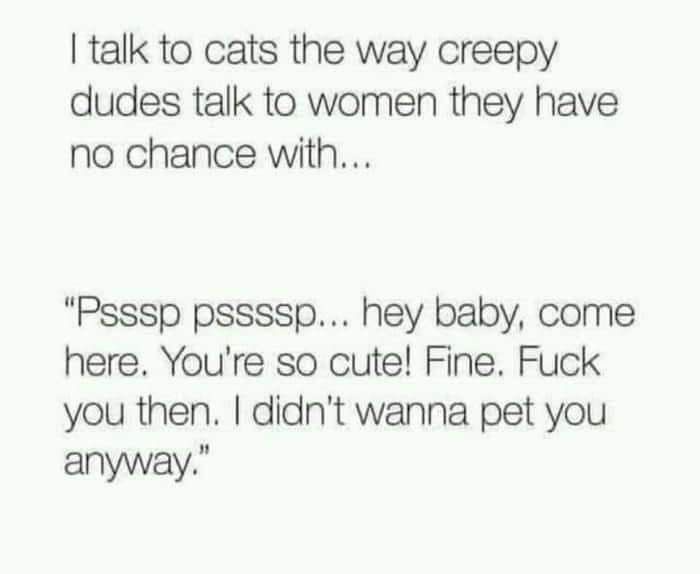 The image displays plain black text on a white background. The text reads: 'I talk to cats the way creepy dudes talk to…