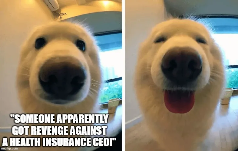 A split image shows a white fluffy dog in two close-up shots. Left: the dog stares intensely with wide eyes. Right: the dog…