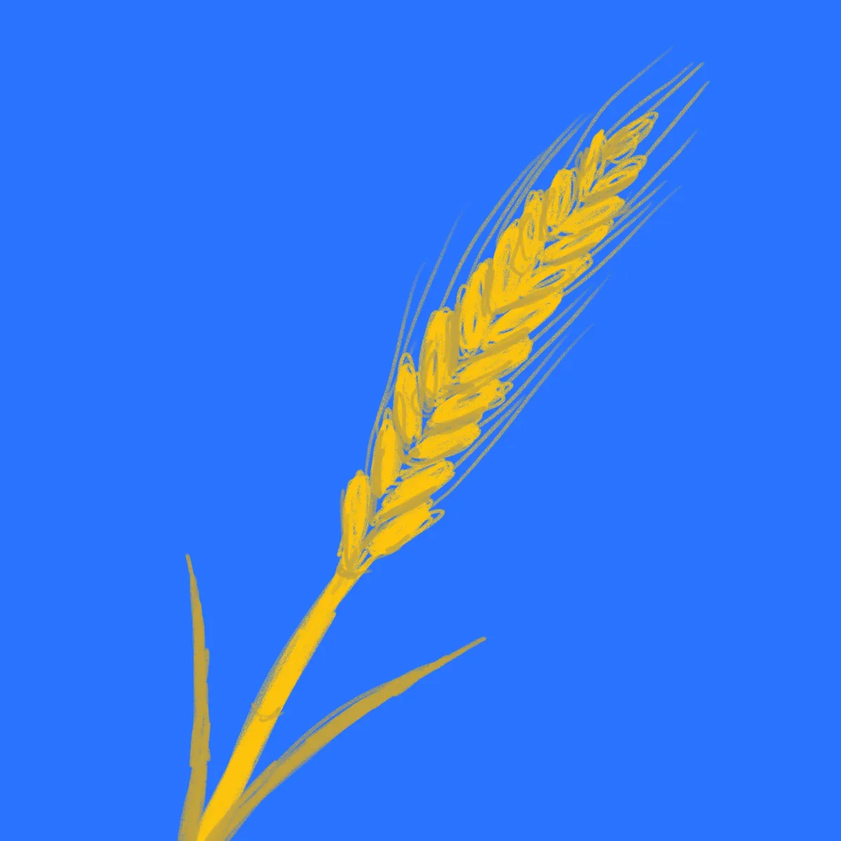 The Golden Grains of Wheat