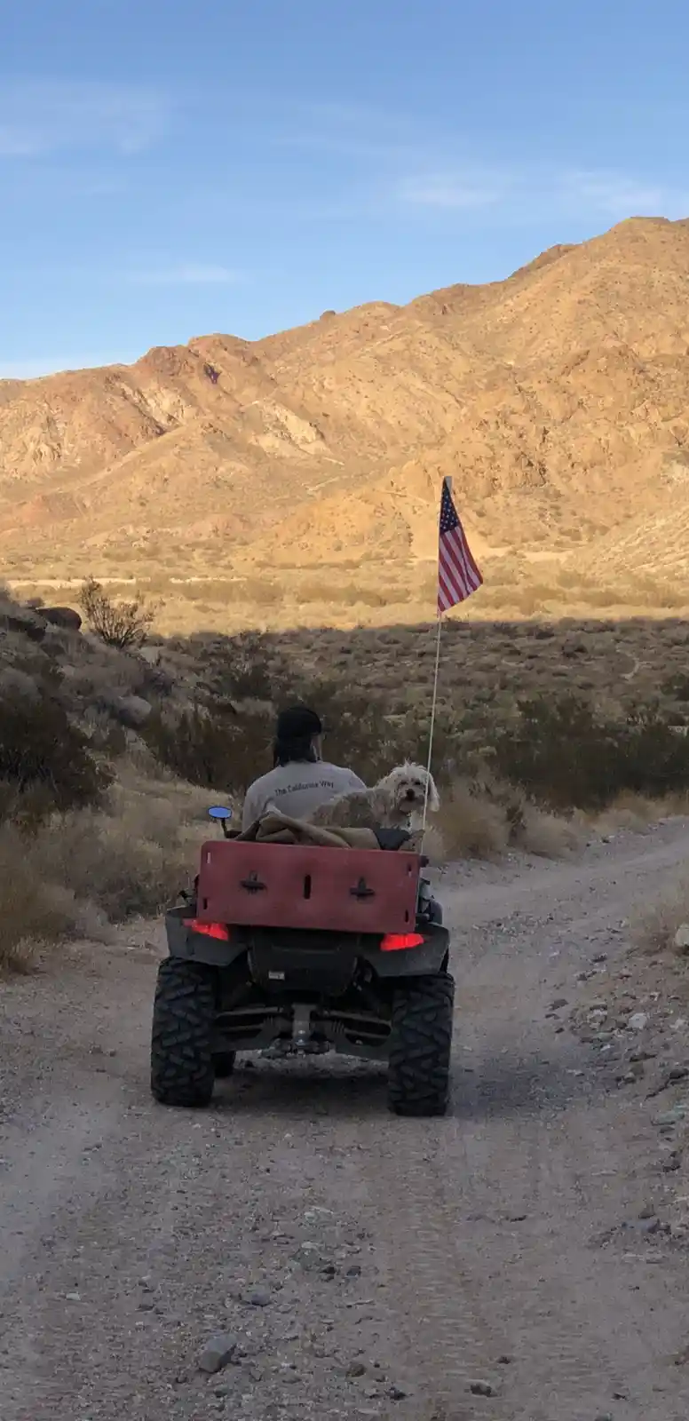 A person wearing a shirt that says 'The California Way' rides an ATV down a dusty desert trail with a fluffy dog in the…