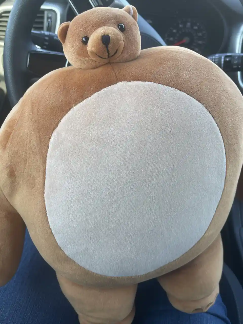 A large, brown plush teddy bear with a round white belly is sitting on someone's lap inside a car, with the steering wheel…