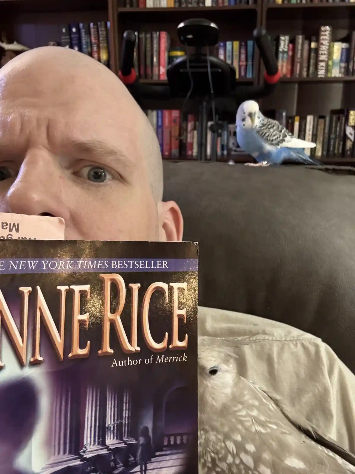 Feeling Like Someone's Watching Me While I Read