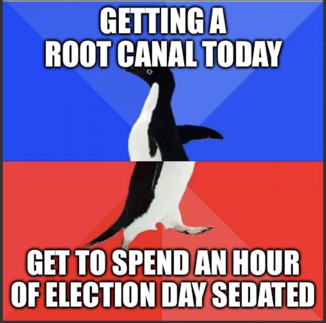 A penguin stands centered against a blue and red background, split horizontally. The top text reads 'GETTING A ROOT CANAL…