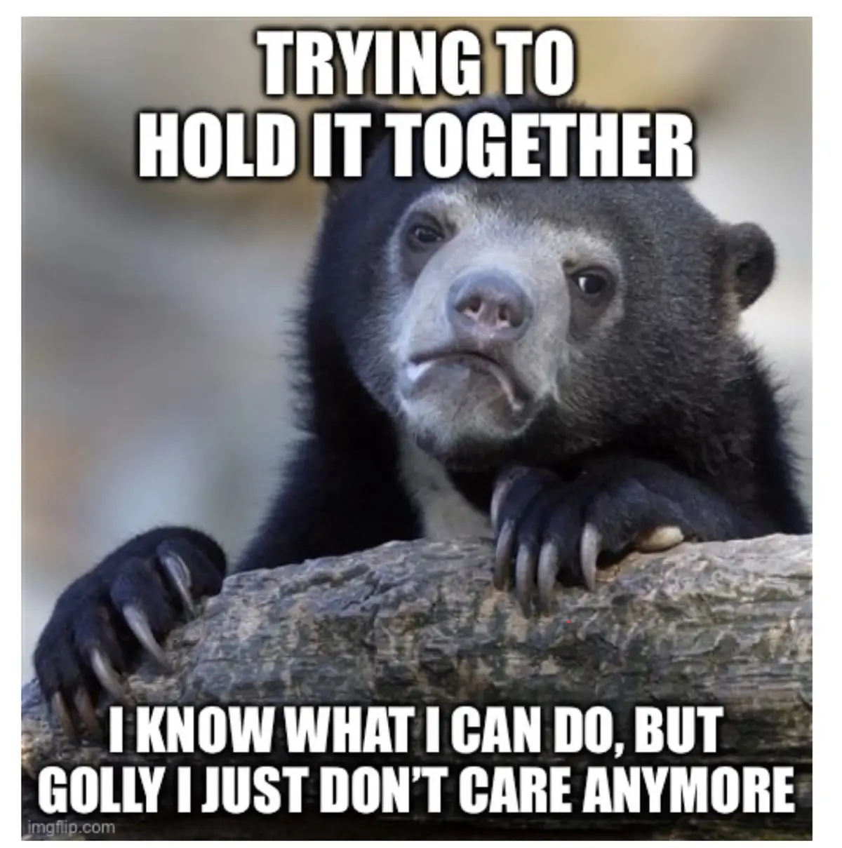 A close-up photo of a sad-looking spectacled bear resting its paws on a log, with white bold text overlaid at the top…