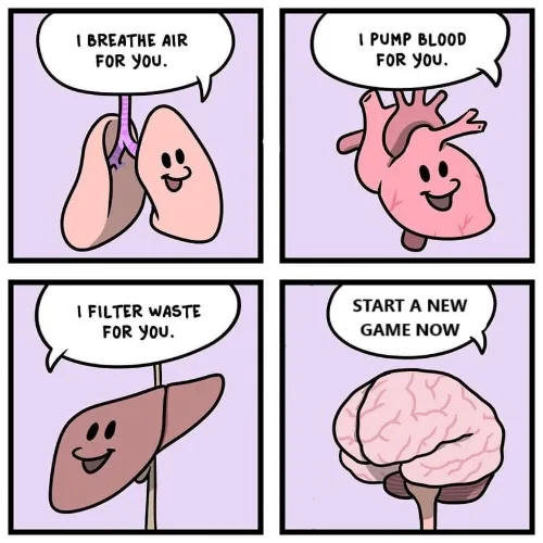 A four-panel comic strip shows cartoon organs: lungs saying 'I breathe air for you,' heart saying 'I pump blood for you,'…
