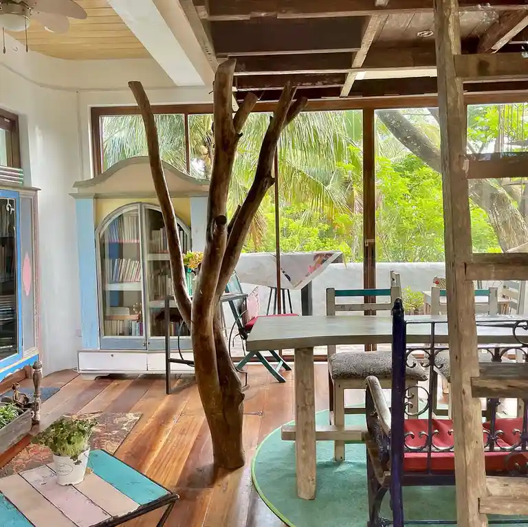 a large, gnarled tree trunk stands indoors in the center of a rustic, eclectic room with wooden floors, mismatched chairs…