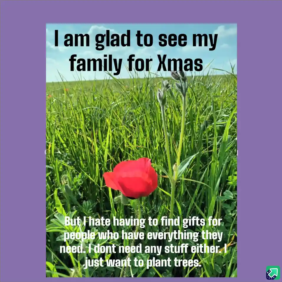 A photo of a single red poppy flower in a field of green grass under a blue sky with white clouds. Black text at the top…