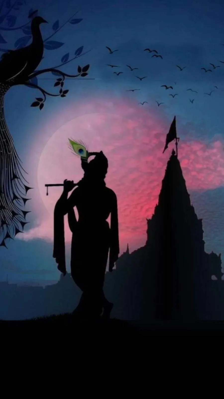A Glimpse of Krishna