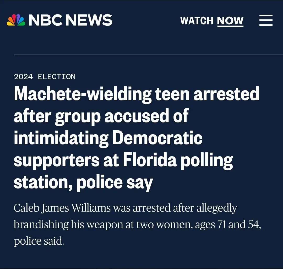 Maga Terrorists Attempt to Intimidate Harris Supporters