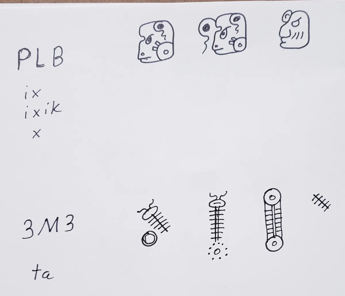 A hand-drawn image on white paper shows two rows of Mayan glyphs. The top row has three stylized face glyphs labeled 'PLB'…