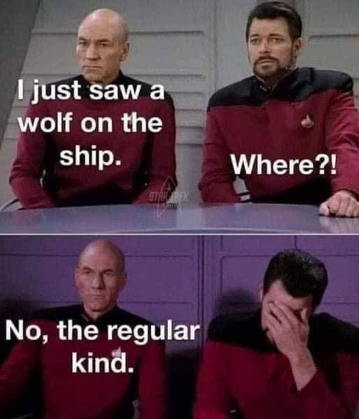 Two Star Trek characters sit at a table; the first says 'I just saw a wolf on the ship.' The second exclaims 'Where?!' In…