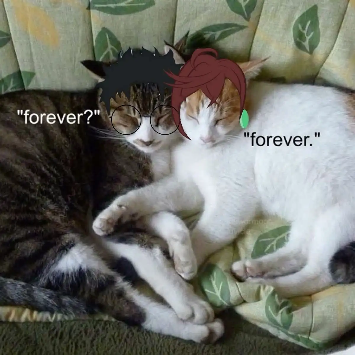 Two cats are cuddling on a leaf-patterned couch; the tabby cat on the left has a black spiky-haired anime character face…