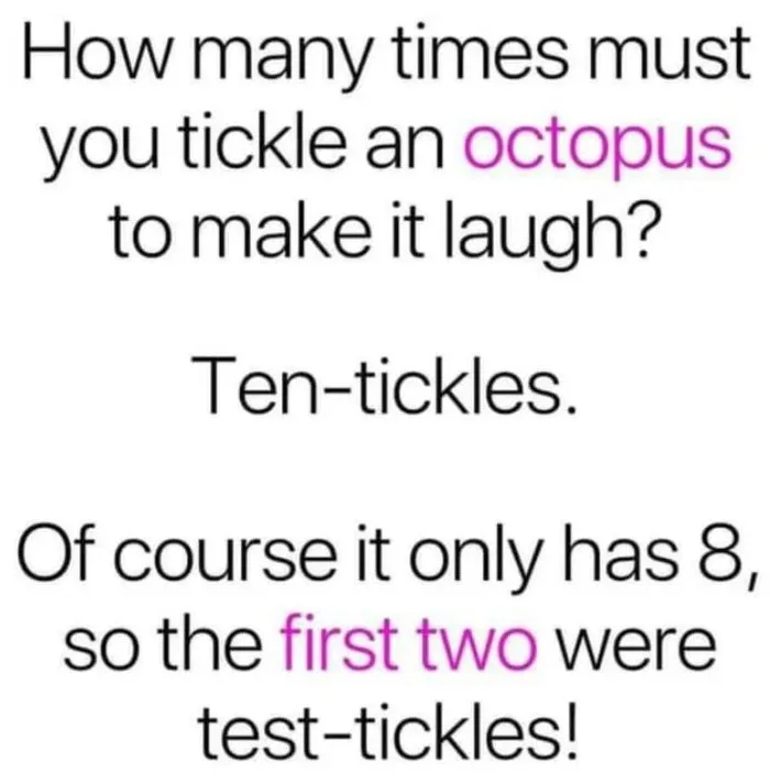 A white background image displays black text with the word 'octopus' and 'first two' highlighted in pink. The text poses a…