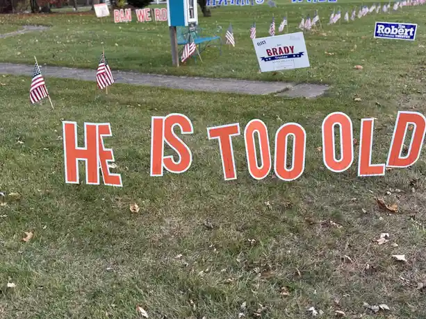 A grassy yard with scattered American flags and multiple political campaign signs, including one for 'Jim Brady' and another…