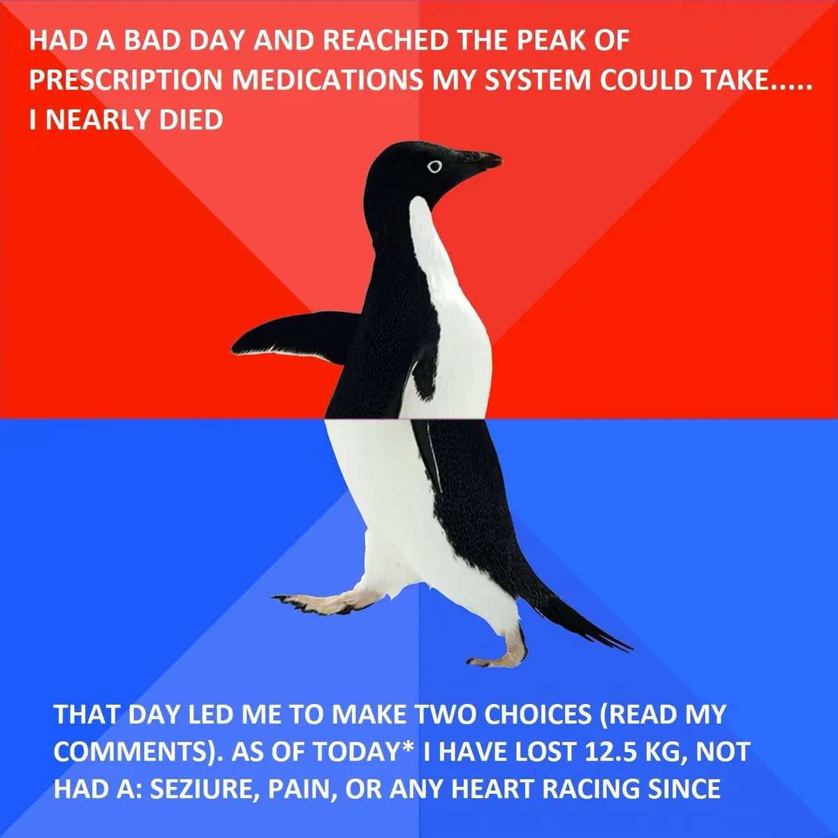 A penguin stands centered against a red and blue background, with white text overlaid in two sections. The top text reads…