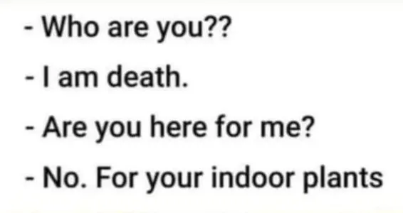 The image displays a simple white background with black text formatted as a dialogue. The conversation reads: 'Who are…