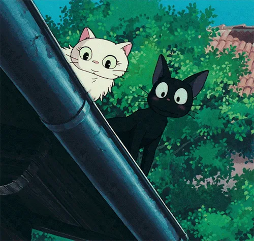Six panels show two cats peeking over a roof: a white cat with a confident expression and a black cat looking increasingly…