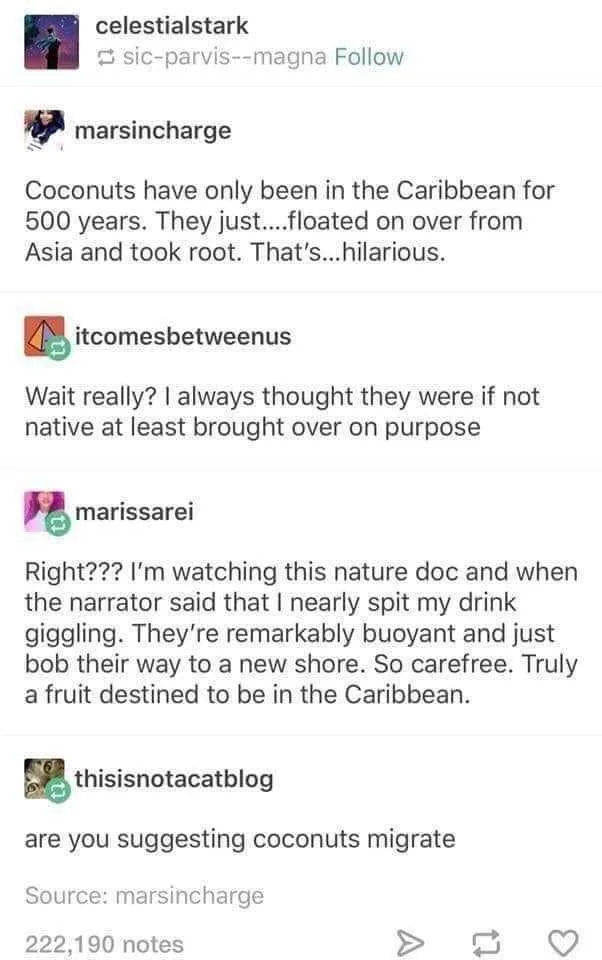 Coconuts: Living Their Best Life