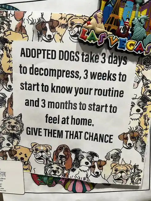 Let's Give Them a Fair Shot!