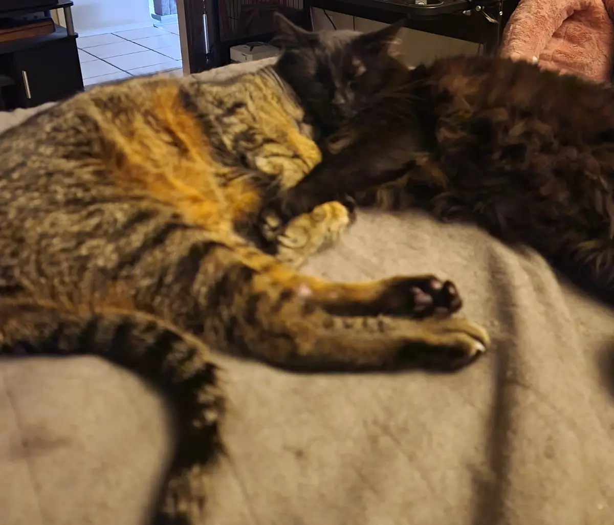 Nyx's Heartwarming Bond with Her Grandpa
