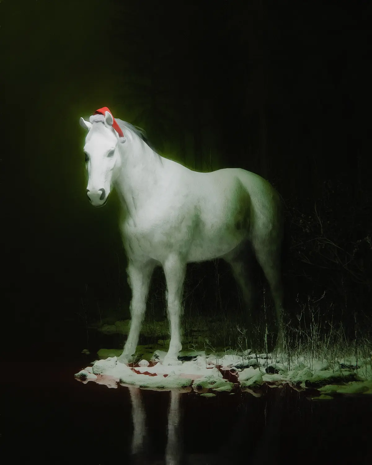 A white horse stands in a snowy, dark forest at night, wearing a red Santa hat with a white trim. The horse is illuminated…