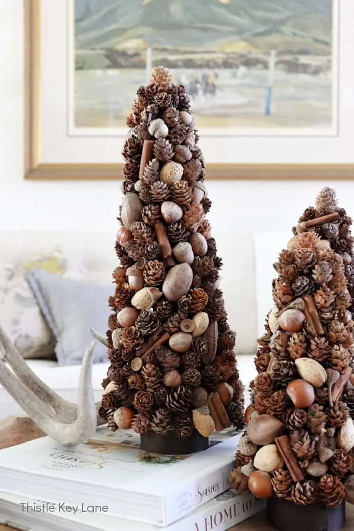 Pine Cones and Acorns Join Forces!