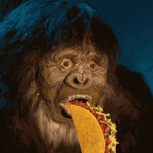 Taco Time: A Delicious Delight