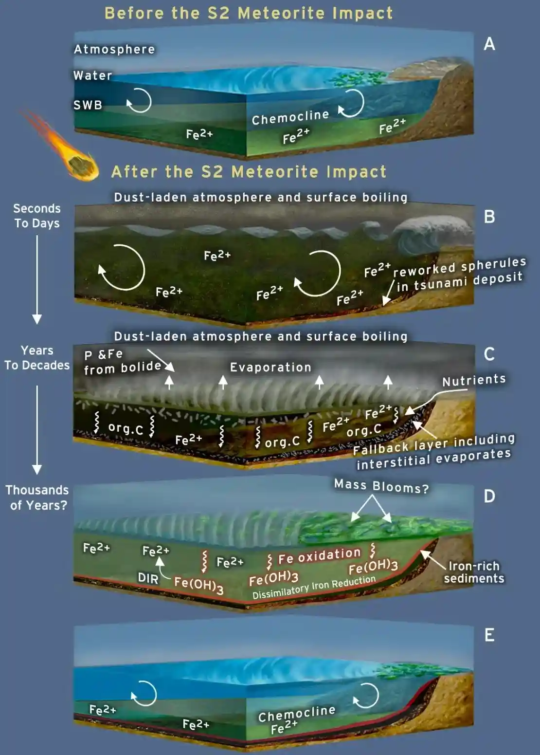 The asteroid impact: Nature's ultimate fertilizer bomb