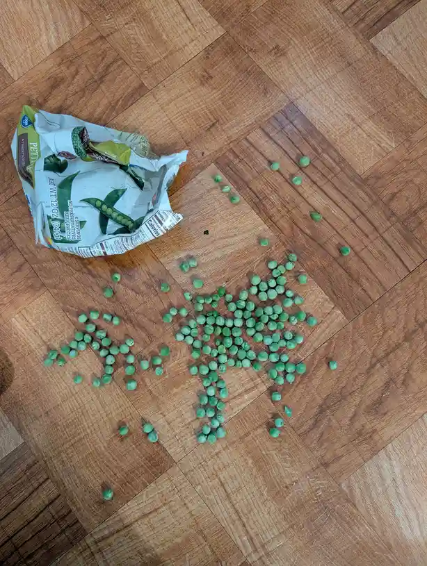 A crumpled bag of frozen peas lies on a wooden floor, with scattered peas arranged to form the shape of a star. The image is…