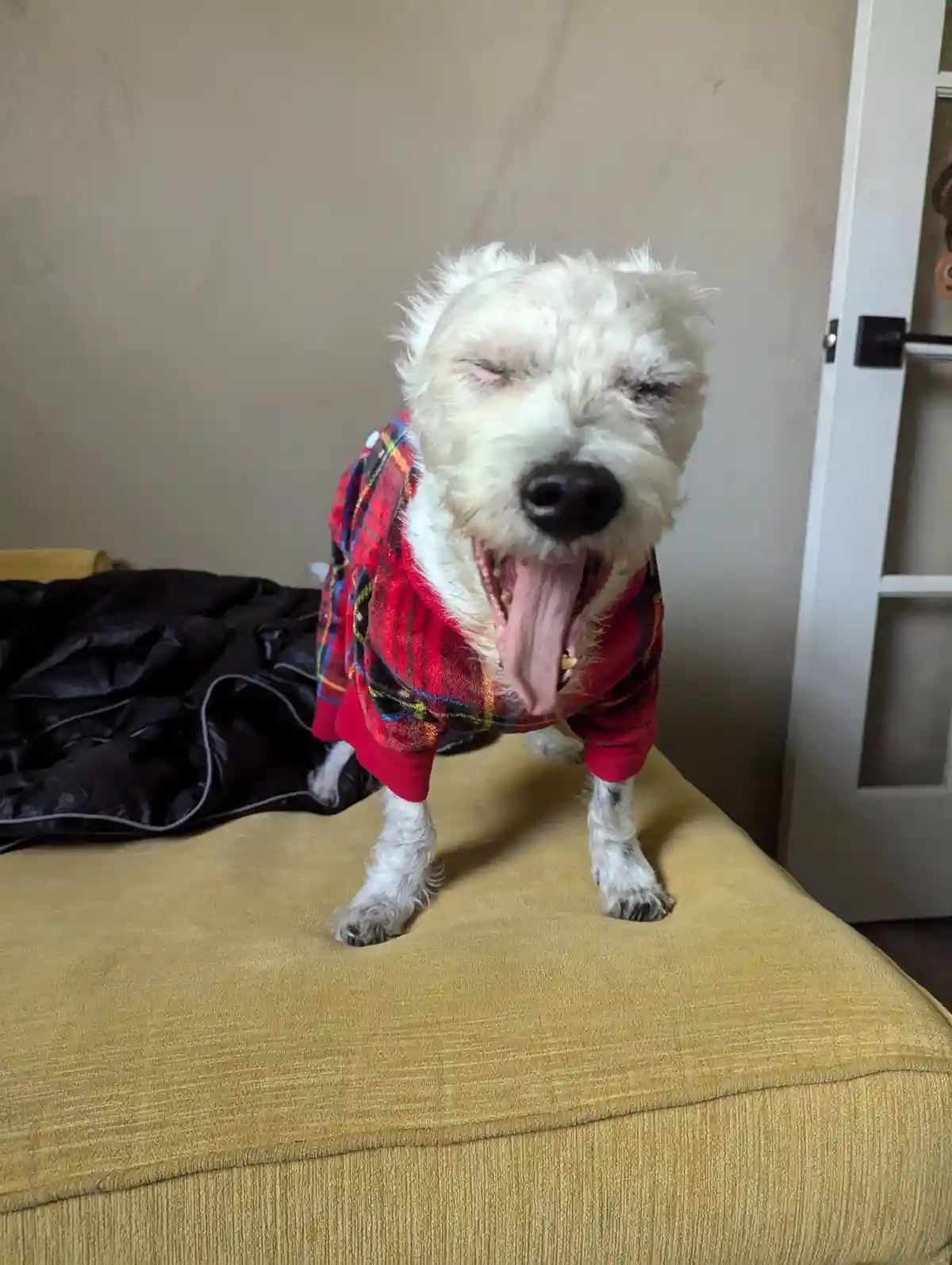 It's freezing today!
